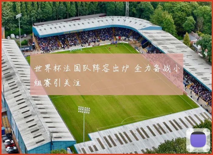 世界杯法国队阵容出炉 全力备战小组赛引关注