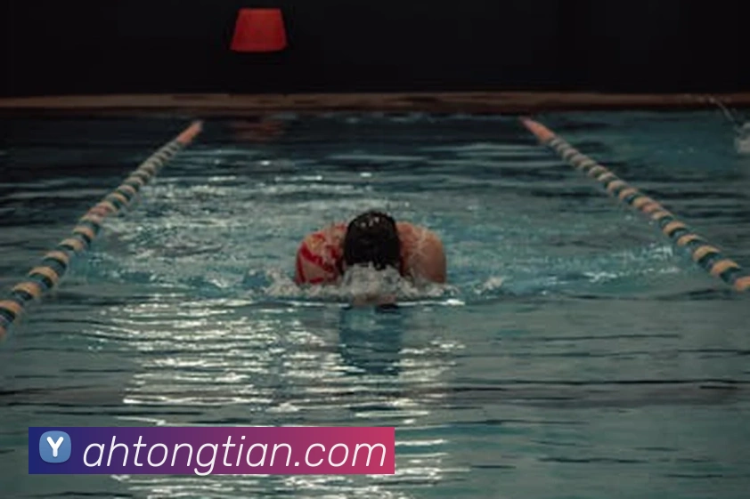 ky体育服务体系